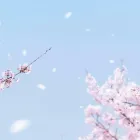 伏見区の放課後等デイサービス